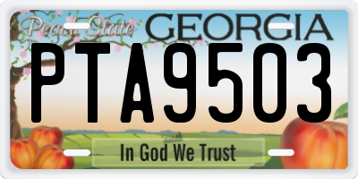 GA license plate PTA9503