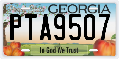 GA license plate PTA9507