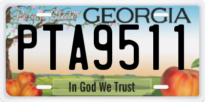 GA license plate PTA9511