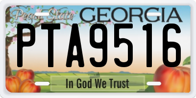 GA license plate PTA9516