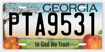 GA license plate PTA9531