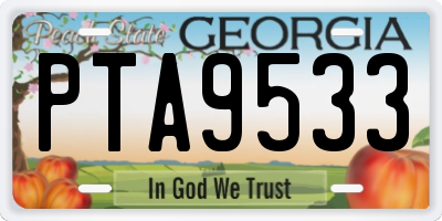 GA license plate PTA9533