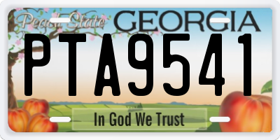 GA license plate PTA9541