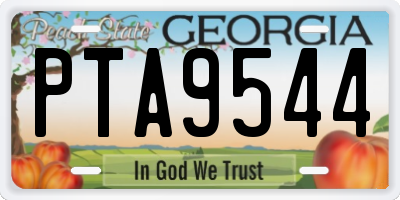 GA license plate PTA9544