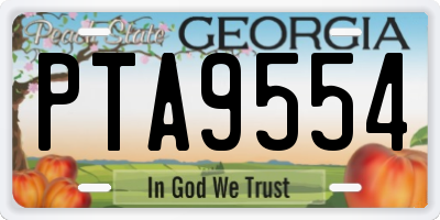 GA license plate PTA9554