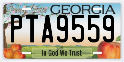 GA license plate PTA9559