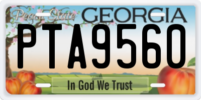 GA license plate PTA9560
