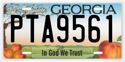 GA license plate PTA9561