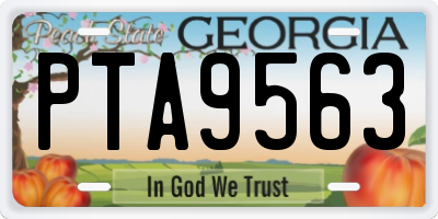 GA license plate PTA9563