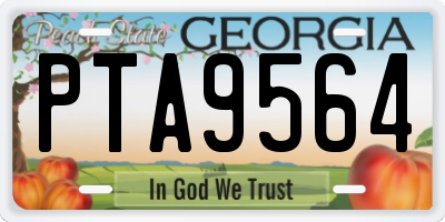GA license plate PTA9564