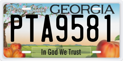 GA license plate PTA9581