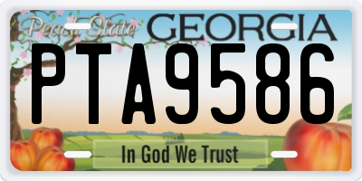 GA license plate PTA9586
