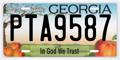 GA license plate PTA9587
