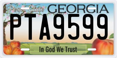 GA license plate PTA9599