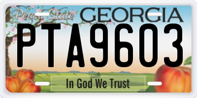 GA license plate PTA9603