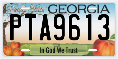 GA license plate PTA9613