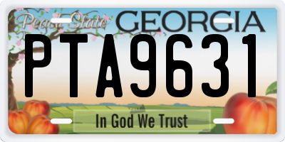 GA license plate PTA9631