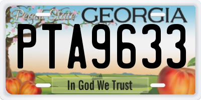 GA license plate PTA9633