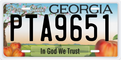 GA license plate PTA9651