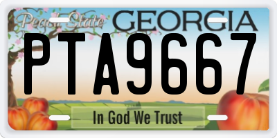 GA license plate PTA9667