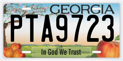 GA license plate PTA9723