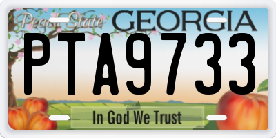 GA license plate PTA9733