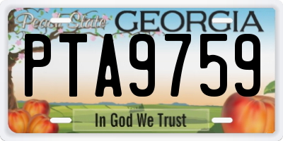 GA license plate PTA9759
