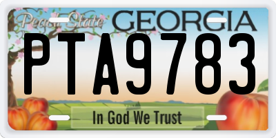 GA license plate PTA9783