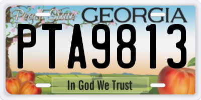 GA license plate PTA9813