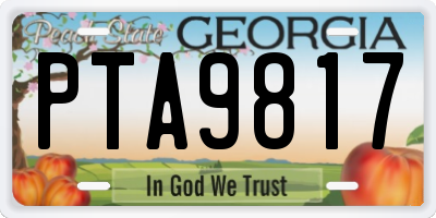 GA license plate PTA9817