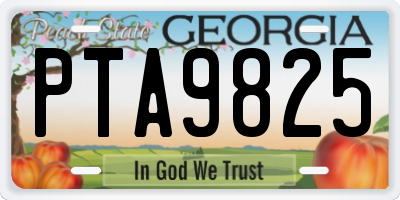 GA license plate PTA9825