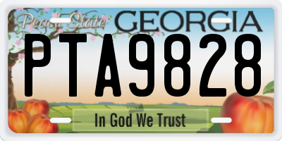 GA license plate PTA9828