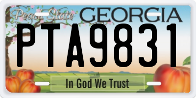 GA license plate PTA9831