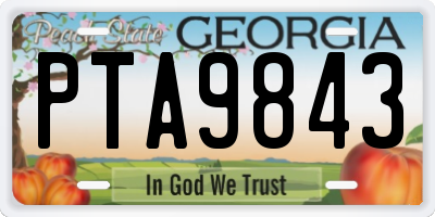 GA license plate PTA9843