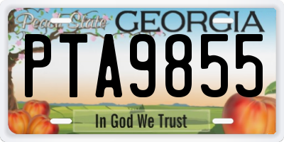 GA license plate PTA9855