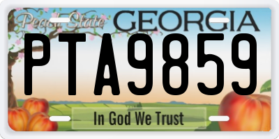 GA license plate PTA9859