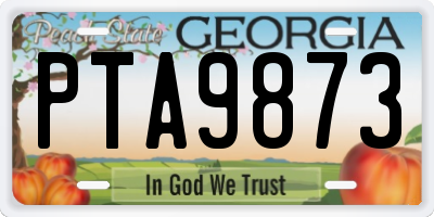 GA license plate PTA9873