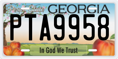 GA license plate PTA9958
