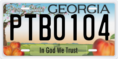 GA license plate PTB0104