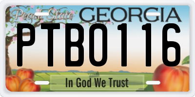 GA license plate PTB0116