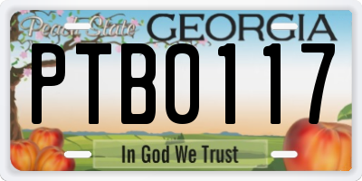 GA license plate PTB0117