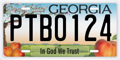 GA license plate PTB0124