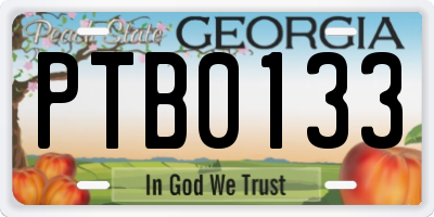 GA license plate PTB0133