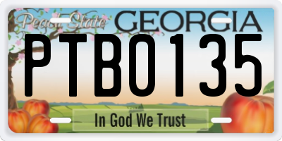 GA license plate PTB0135