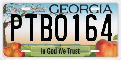 GA license plate PTB0164