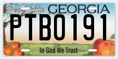 GA license plate PTB0191