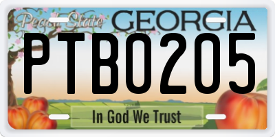 GA license plate PTB0205