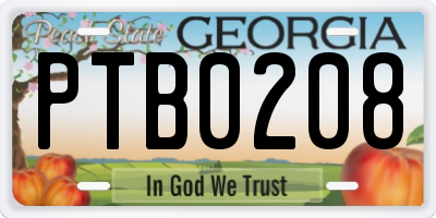 GA license plate PTB0208