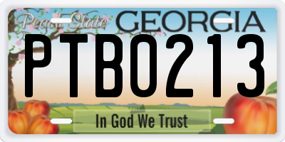 GA license plate PTB0213