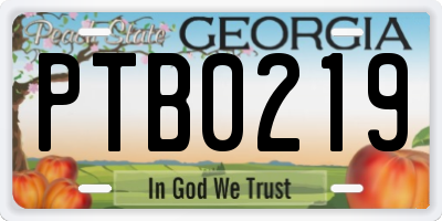 GA license plate PTB0219